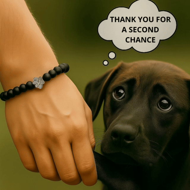 I Love ALL Dogs Bracelet™